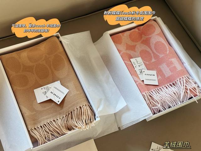 Cashmere scarf with box and coded chip Coach wool scarf with high cost performa