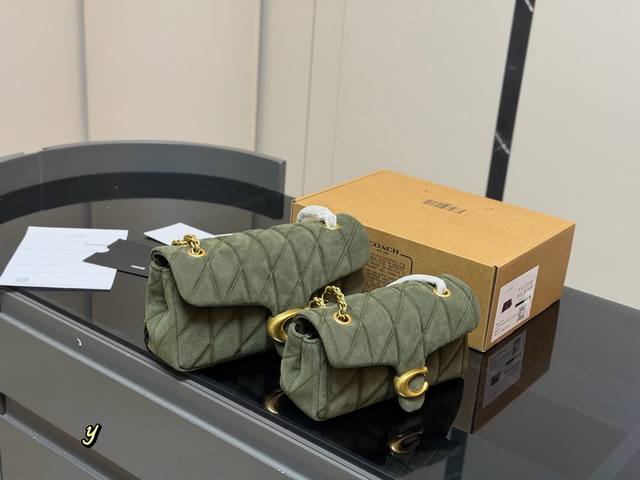 Comes with box Size: 21*11Cm 25*15Cm Versatile Tabby Coach Dionysus New Quilted