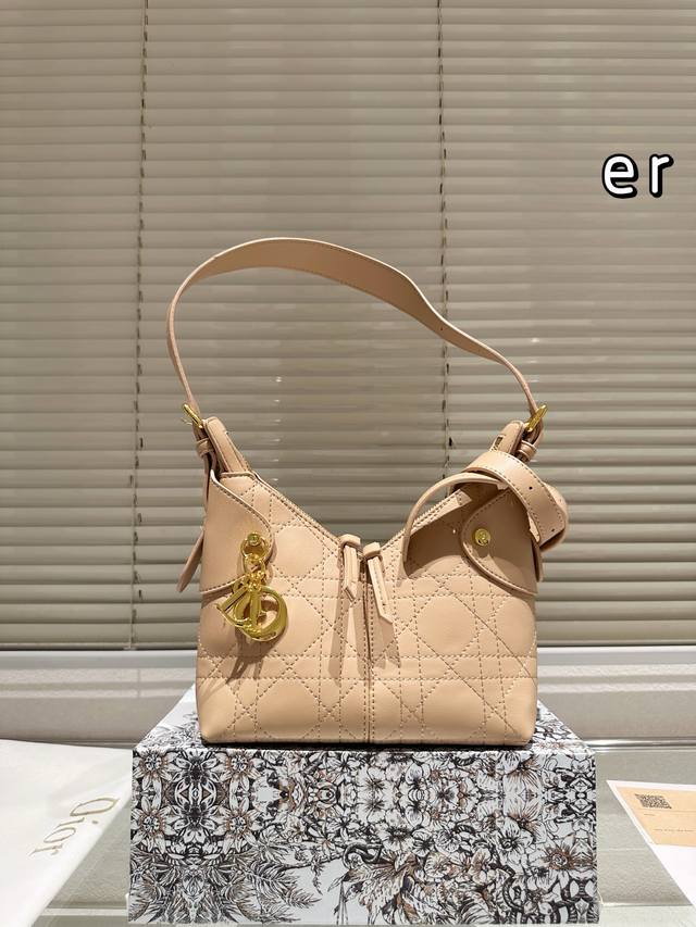 Small Box Dior Voyage Shoulder Bag This Dior Voyage handbag is a new addition to