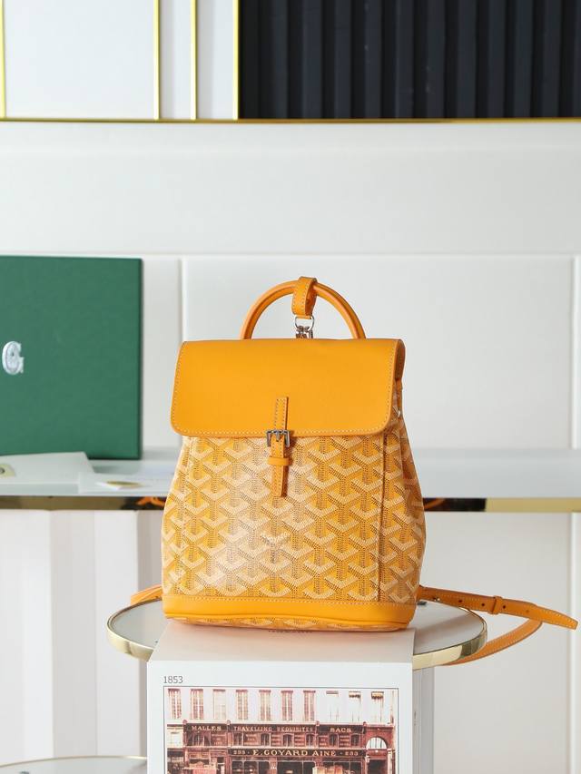 Premium Quality Original Goyard Aln Mini Backpack, Button Style, Comes with Ori