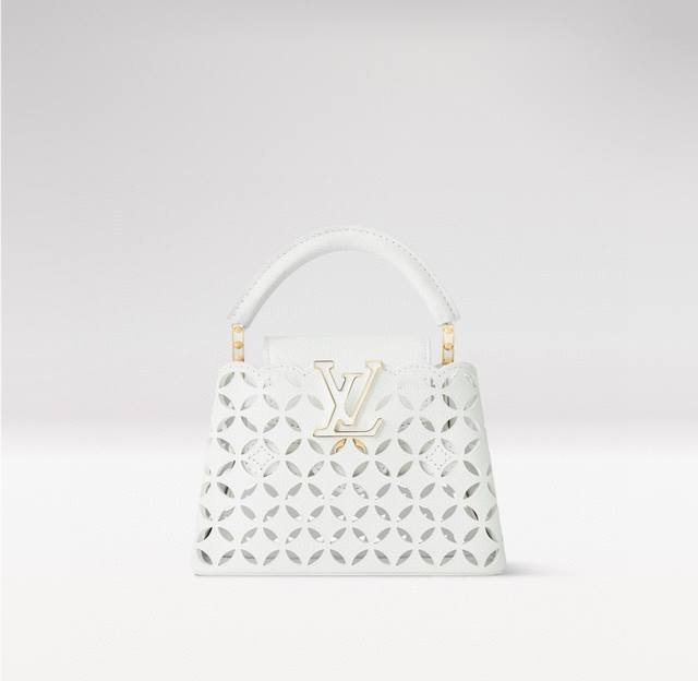 M25497 Premium Original Factory Dynamic 163 This Capucines mini handbag features