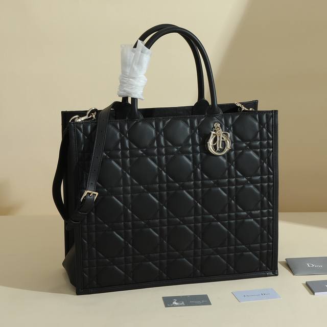 This Dior handbag is a newly launched key item from Dior, making a stunning deb