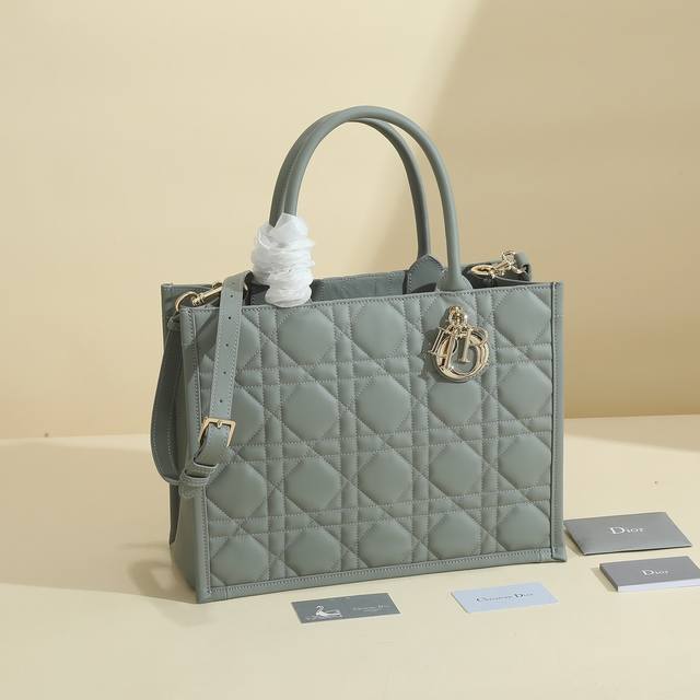This Dior handbag is a newly launched key piece from Dior, making a stunning de