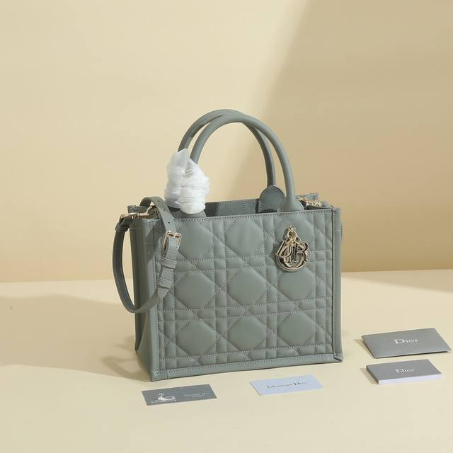 This Dior handbag is a newly launched key piece from Dior, making a stunning de