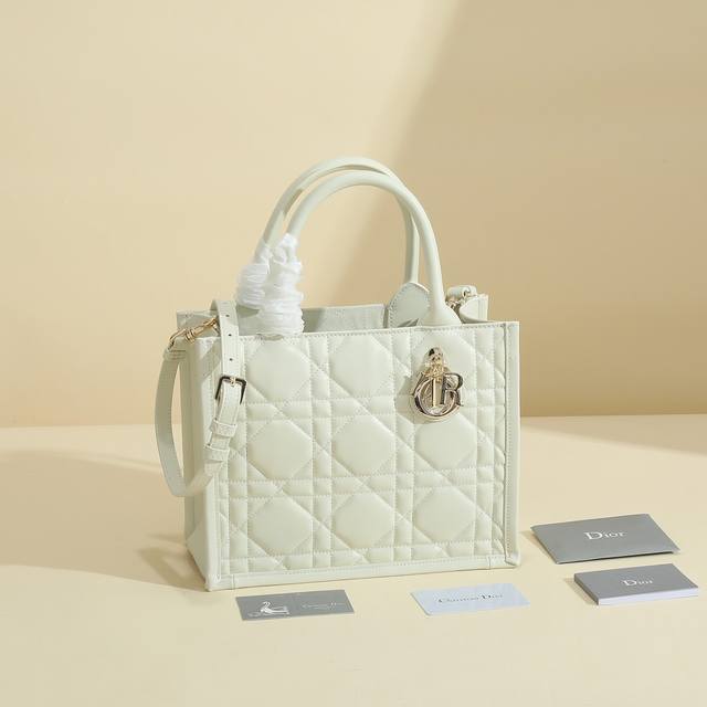 This Dior handbag is a newly launched key item from Dior, making a stunning deb