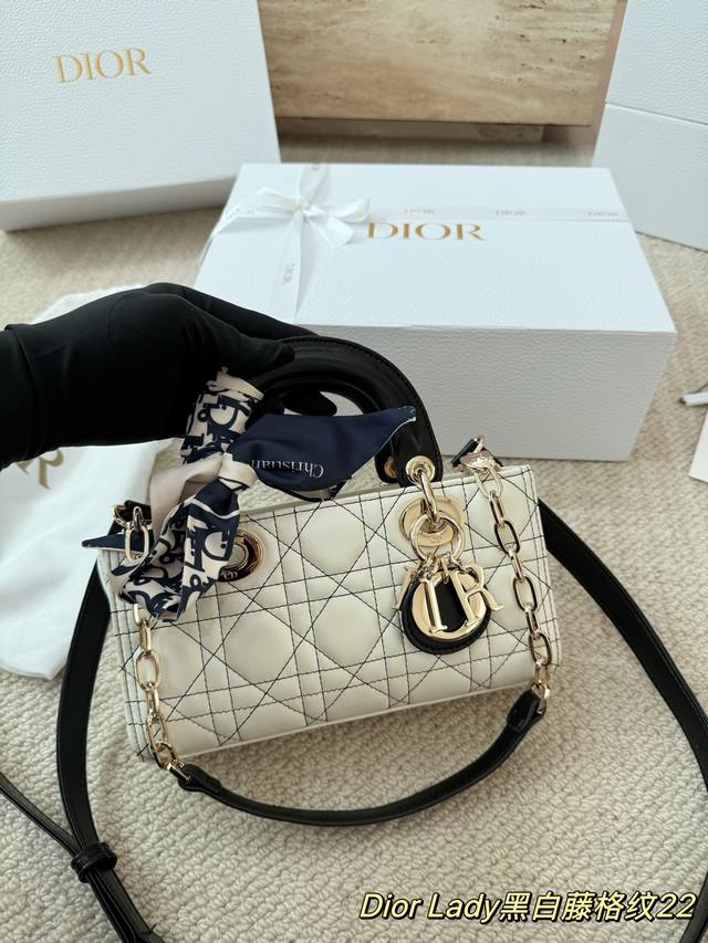 26 Early Spring New Arrival: Dior Lady D-Joy Horizontal Leather Bag. This Dior L